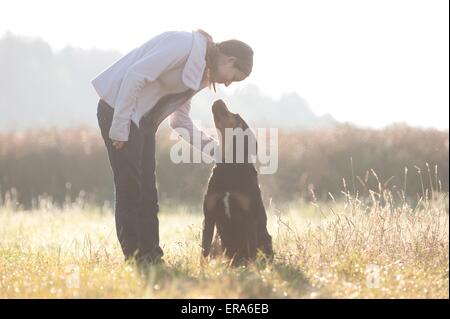 Mädchen und großer Schweizer Sennenhund Stockfoto