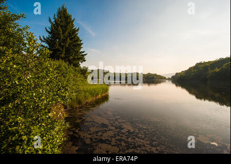 Italien Piemont Canavese Francigena Weise die Pistono See Stockfoto