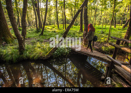 Italien Piemont Canavese Francigena Weise Ivrea Wälder in die Ländereien Tänzer Stockfoto