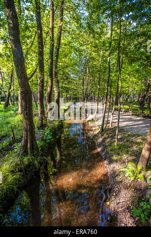 Italien Piemont Canavese Francigena Weise Ivrea Wälder in die Ländereien Tänzer Stockfoto