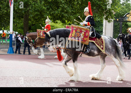 Montierten Band der Household Cavalry an Trooping die Farbe Quecksilber Drum Horse von der Leibgarde und Blues and Royals Stockfoto