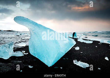 Eisberge an der schwarze Vulkanstrand nahe Gletscherlagune Jökulsárlón, South East Island gespült. Stockfoto