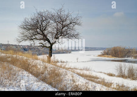 Am späten Nachmittag Winterlandschaft mit Aprikosenbaum und zugefrorenen Fluss. Stockfoto