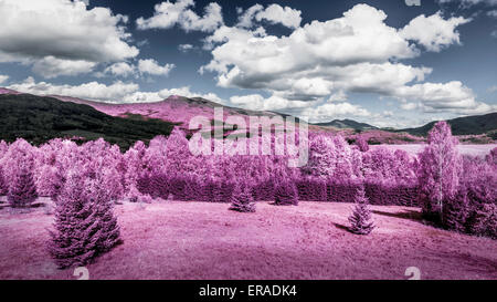 Infrarot-Foto der Wald und die Berge Landschaft Stockfoto