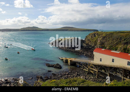 Pembrokeshire Küste Süd-west wales, UK, Großbritannien, Europa Stockfoto