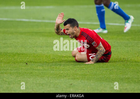 30. Mai 2015: Toronto FC vorwärts Sebastian Giovinco (10) auf kein Foul reagiert in der zweiten Hälfte bei einem MLS-Spiel zwischen dem FC Toronto und San Jose Earthquakes im BMO Field in Toronto, Ontario, Kanada genannt werden. Toronto FC besiegte die Erdbeben 3-1. Stockfoto