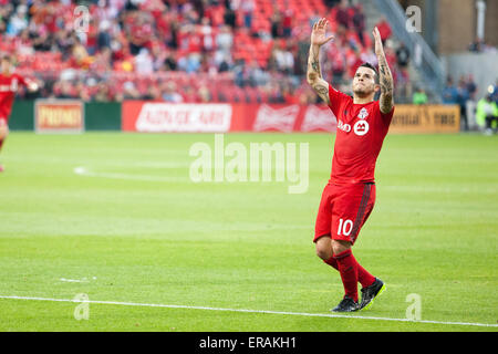 30. Mai 2015: Toronto FC vorwärts Sebastian Giovinco (10) auf kein Foul reagiert in der zweiten Hälfte bei einem MLS-Spiel zwischen dem FC Toronto und San Jose Earthquakes im BMO Field in Toronto, Ontario, Kanada genannt werden. Toronto FC besiegte die Erdbeben 3-1. Stockfoto