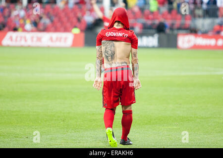 30. Mai 2015: Toronto FC vorwärts Sebastian Giovinco (10) auf kein Foul reagiert in der zweiten Hälfte bei einem MLS-Spiel zwischen dem FC Toronto und San Jose Earthquakes im BMO Field in Toronto, Ontario, Kanada genannt werden. Toronto FC besiegte die Erdbeben 3-1. Stockfoto