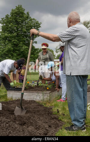 Detroit, Michigan - Mitglieder des Johanniterordens Presbyterianische Kirche Pflanze einen Gemeinschaftsgarten. Stockfoto