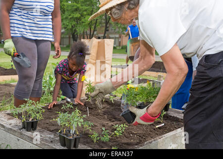 Detroit, Michigan - Mitglieder des Johanniterordens Presbyterianische Kirche Pflanze einen Gemeinschaftsgarten. Stockfoto