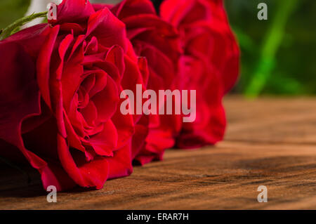 Nahaufnahme von drei leuchtend roten Rosen Stockfoto