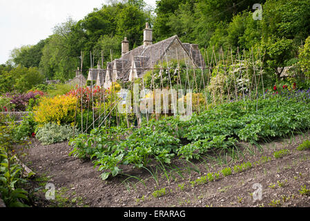 Gemüse Garten und Country Cottages in Bibury im Frühjahr. Cotswolds, Gloucestershire, England Stockfoto