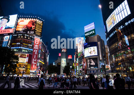 Shibuya Crossing, Shibuya-Ku, Tokyo, Japan Stockfoto