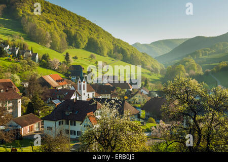 Frühling Morgen in wisen, Kanton Solothurn, Schweiz. Jura. Stockfoto