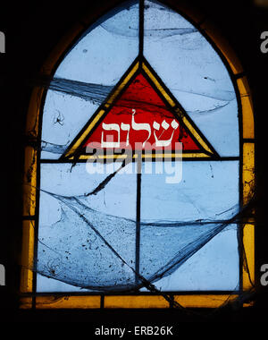 Glasfenster mit riesigen Spinnennetze in einem Grab am Friedhof Pere Lachaise Paris Frankreich Europa Stockfoto