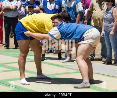 Luch Canarias (kanarisches Wrestling) Demonstration während Dia de Canarias feiern auf Gran Canaria, Kanarische Inseln, Spanien Stockfoto