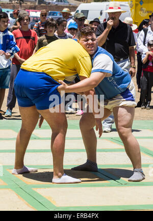 Luch Canarias (kanarisches Wrestling) Demonstration während Dia de Canarias feiern auf Gran Canaria, Kanarische Inseln, Spanien Stockfoto