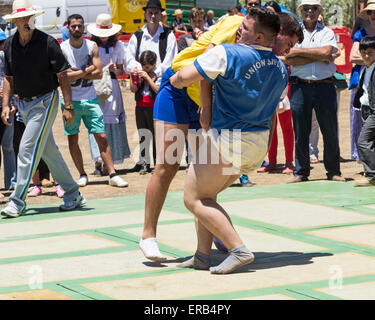 Luch Canarias (kanarisches Wrestling) Demonstration während Dia de Canarias feiern auf Gran Canaria, Kanarische Inseln, Spanien Stockfoto