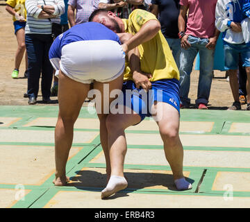 Luch Canarias (kanarisches Wrestling) Demonstration während Dia de Canarias feiern auf Gran Canaria, Kanarische Inseln, Spanien Stockfoto