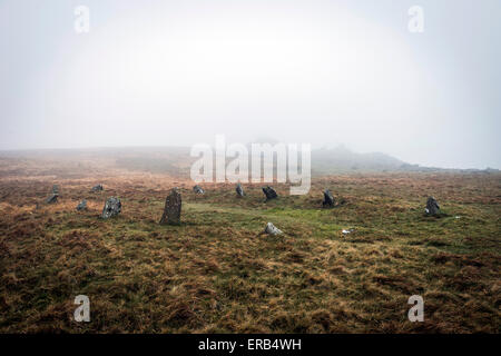 BEDD Arthur prähistorischen Steinbildung in der Preseli-Berge, Pembrokeshire, Wales Stockfoto