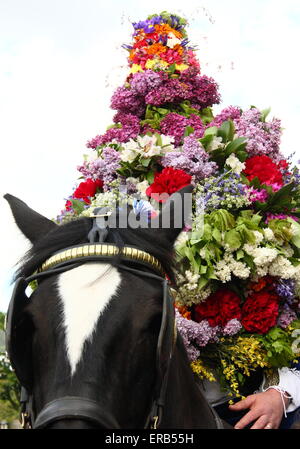 Tragen einen floralen Kopfschmuck Garland König Prozesse durch Castleton im Peak District in der Feier der Eiche Apple Tag UK Stockfoto