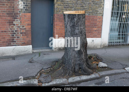 Baumstumpf wachsen aus dem Pflaster in Borough, London, UK. Der Baum abgeholzt worden und soll entfernt werden da es crea Stockfoto