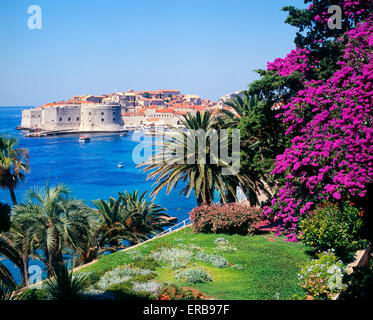 Dubrovnik Altstadt mit Blumen, Kroatien Stockfoto