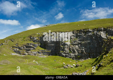 Wales, Carmarthenshire, Mynydd Du, Foel Fawr Schafbeweidung in alten Kalksteinbruch Stockfoto