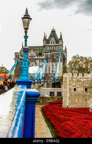 Pflanzung der Keramik Mohnblumen, Blut Mehrfrequenzdarstellung Länder und Meere rot, Tower of London, Kunstwerke durch Paul Cummins und Tom Piper. 2014 Stockfoto