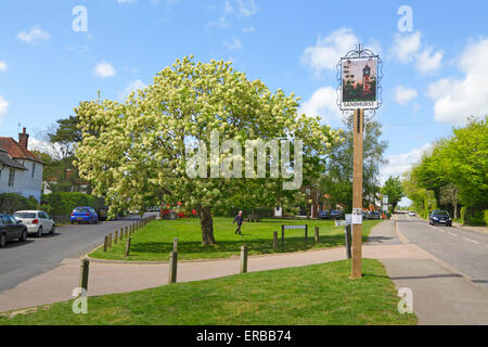 Sandhurst Dorf, Kent, England, UK Stockfoto