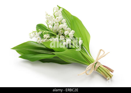 Maiglöckchen Posy isoliert auf weißem Hintergrund Stockfoto