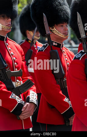 Britische Soldaten rote zeremonielle Uniformen aufgereiht auf der Parade halten Gewehre Stockfoto