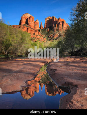 Cathedral Rock spiegelt sich in Oak Creek, gesehen bei Red Rock Crossing in Sedona, Arizona Stockfoto