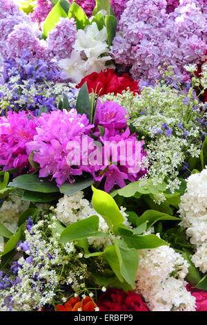 Detail der floralen Kopfschmuck getragen durch die Girlande King Eiche Apple Tag Castleton, Peak District, Derbyshire, UK Stockfoto