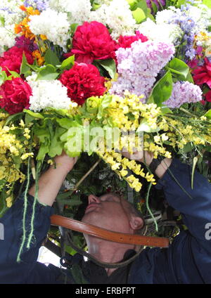 Eine Girlande Maker verleiht den letzten Schliff der Flora Kopfschmuck getragen durch die Girlande King Oak Apple Day, Castleton feiern Stockfoto