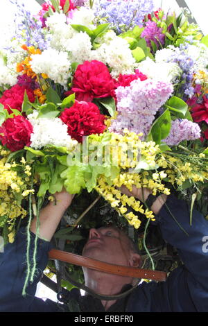 Eine Girlande Maker verleiht den letzten Schliff der Flora Kopfschmuck getragen durch die Girlande King Oak Apple Day, Castleton feiern Stockfoto