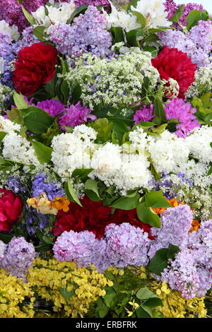 Die floralen Kopfbedeckung getragen durch die Girlande König Eiche Apple Tag in Castleton, Peak District, Derbyshire, UK-close-up zu feiern. Stockfoto