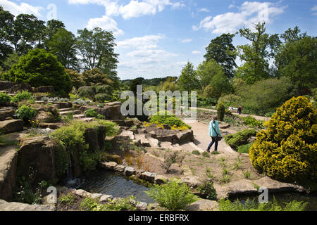 Seerosenteichen sitzen am unteren Rand der Steingarten, RHS Garden Wisley, Surrey, England, UK Stockfoto