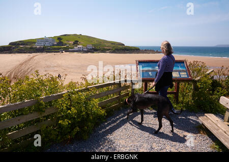 Fuß einen Windhund am Strand von Bigbury-sur-Mer. Burgh Island und das Art-Déco-Burgh Island Hotel im Hintergrund Stockfoto