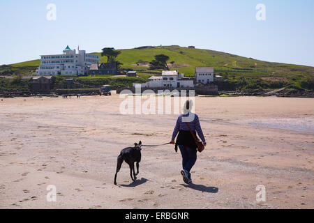 Fuß einen Windhund am Strand von Bigbury-sur-Mer. Burgh Island und das Art-Déco-Burgh Island Hotel im Hintergrund Stockfoto