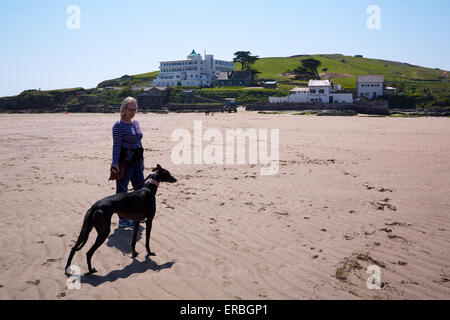 Fuß einen Windhund am Strand von Bigbury-sur-Mer. Burgh Island und das Art-Déco-Burgh Island Hotel im Hintergrund Stockfoto