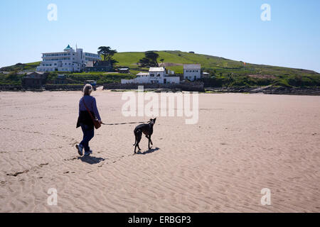 Fuß einen Windhund am Strand von Bigbury-sur-Mer. Burgh Island und das Art-Déco-Burgh Island Hotel im Hintergrund Stockfoto