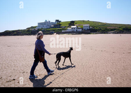 Fuß einen Windhund am Strand von Bigbury-sur-Mer. Burgh Island und das Art-Déco-Burgh Island Hotel im Hintergrund Stockfoto