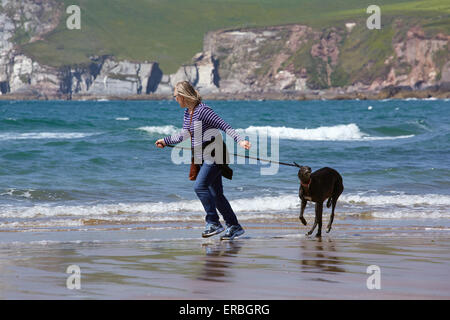 Eine Frau, die Ausübung eines Windhunds auf einem englischen Strand. Stockfoto