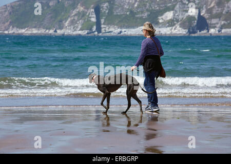 Eine Frau, die Ausübung eines Windhunds auf einem englischen Strand. Stockfoto