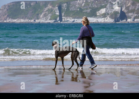 Eine Frau, die Ausübung eines Windhunds auf einem englischen Strand. Stockfoto