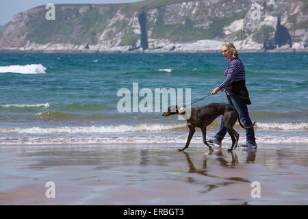 Eine Frau, die Ausübung eines Windhunds auf einem englischen Strand. Bigbury am Meer, Devon. Stockfoto