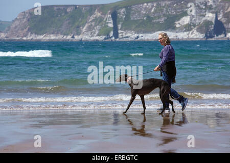 Eine Frau, die Ausübung eines Windhunds auf einem englischen Strand. Stockfoto