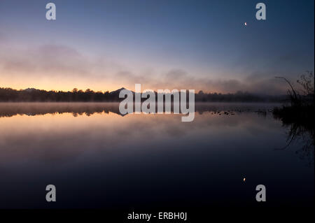 Lake Cassidy with Moon Rising with Early Nebel Washington State Stockfoto