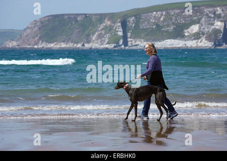 Eine Frau, die Ausübung eines Windhunds auf einem englischen Strand. Stockfoto